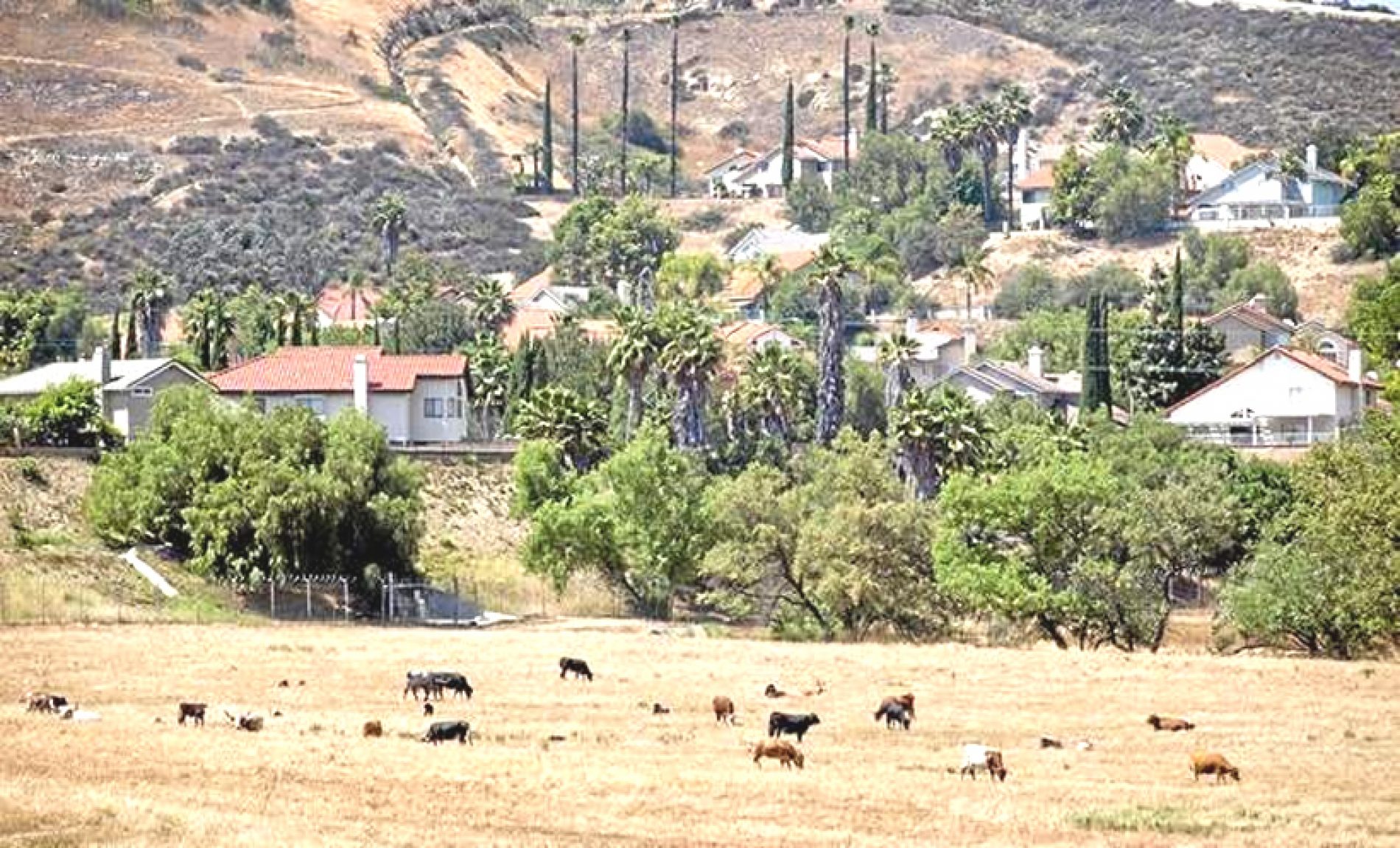 City of Industry Plans to Sell Large Parcel in Chino Hills