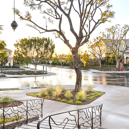 Beacon Park Community Opens in Irvine